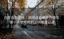 白虎自扣在线｜围绕体验展开的随笔：第一次使用时的上手难度记录