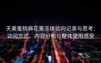 天美蜜桃麻花果冻体验向记录与思考：访问方式、内容分布与整体使用感受