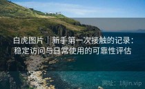 白虎图片｜新手第一次接触的记录：稳定访问与日常使用的可靠性评估