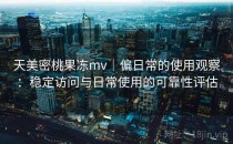 天美密桃果冻mv｜偏日常的使用观察：稳定访问与日常使用的可靠性评估