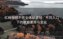 红桃视频不完全体验说明：不同入口下的体验差异与变化