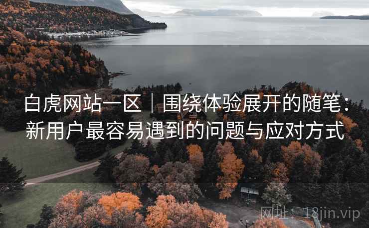 白虎网站一区｜围绕体验展开的随笔：新用户最容易遇到的问题与应对方式  第2张