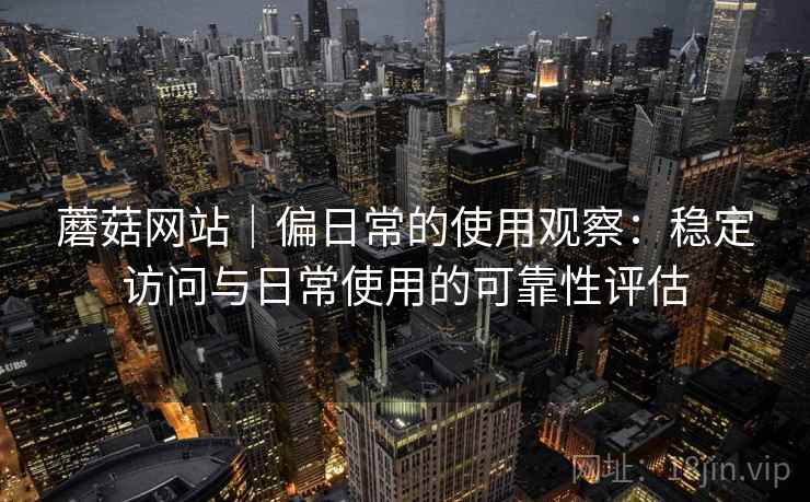 蘑菇网站｜偏日常的使用观察：稳定访问与日常使用的可靠性评估  第2张
