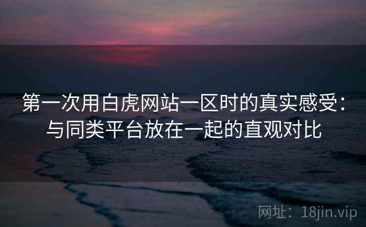 第一次用白虎网站一区时的真实感受：与同类平台放在一起的直观对比  第1张