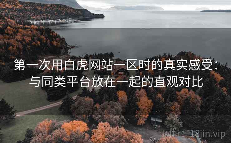 第一次用白虎网站一区时的真实感受：与同类平台放在一起的直观对比  第2张