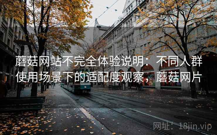 蘑菇网站不完全体验说明：不同人群使用场景下的适配度观察，蘑菇网片  第2张