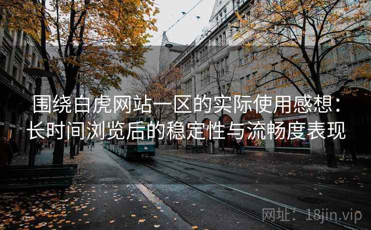 围绕白虎网站一区的实际使用感想：长时间浏览后的稳定性与流畅度表现  第1张