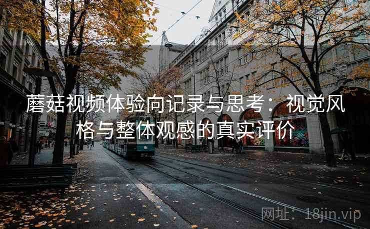 蘑菇视频体验向记录与思考：视觉风格与整体观感的真实评价  第2张