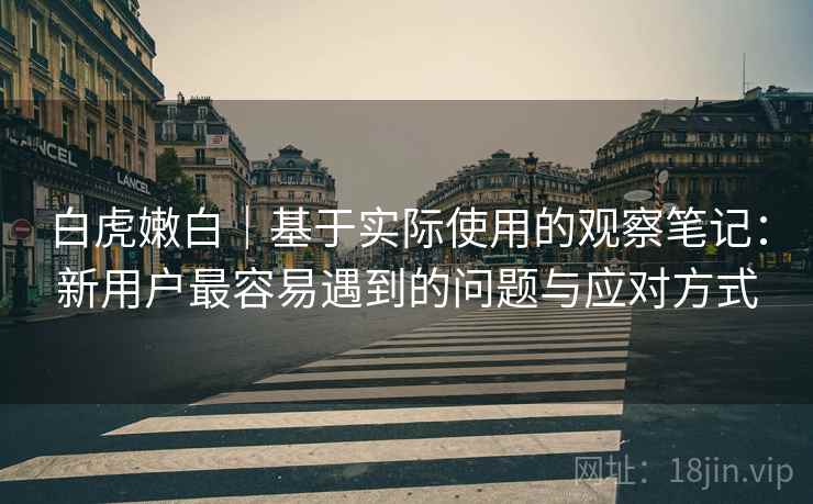 白虎嫩白｜基于实际使用的观察笔记：新用户最容易遇到的问题与应对方式  第2张