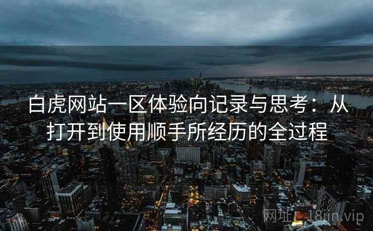 白虎网站一区体验向记录与思考:从打开到使用顺手所经历的全过程 第2张 白虎网站一区体验向记录与思考:从打开到使用顺手所经历的全过程 第2张