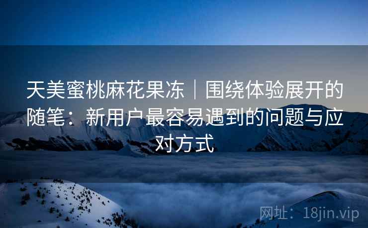 天美蜜桃麻花果冻｜围绕体验展开的随笔：新用户最容易遇到的问题与应对方式  第2张