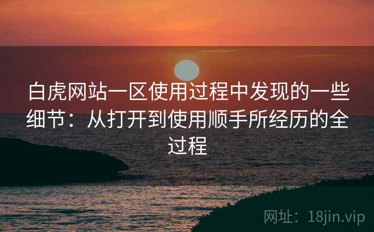 白虎网站一区使用过程中发现的一些细节：从打开到使用顺手所经历的全过程  第1张