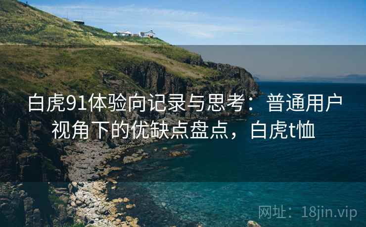白虎91体验向记录与思考：普通用户视角下的优缺点盘点，白虎t恤  第1张
