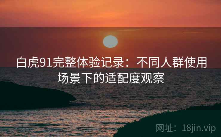 白虎91完整体验记录：不同人群使用场景下的适配度观察  第2张