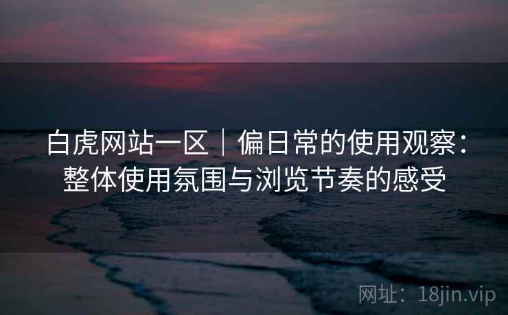 白虎网站一区｜偏日常的使用观察：整体使用氛围与浏览节奏的感受  第2张