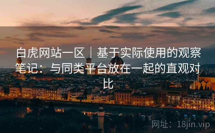 白虎网站一区｜基于实际使用的观察笔记：与同类平台放在一起的直观对比  第1张