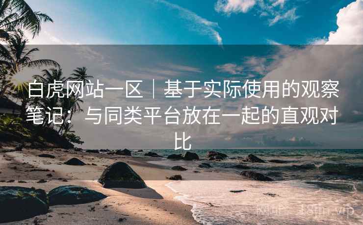 白虎网站一区｜基于实际使用的观察笔记：与同类平台放在一起的直观对比  第2张
