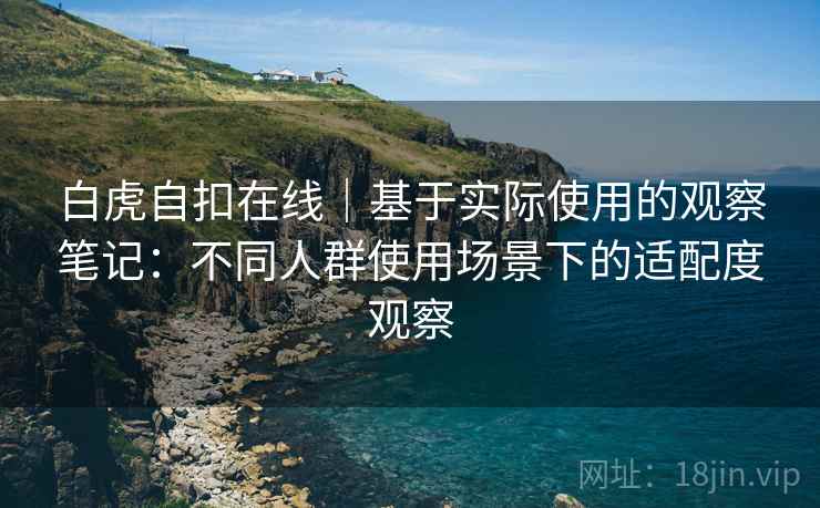 白虎自扣在线｜基于实际使用的观察笔记：不同人群使用场景下的适配度观察  第1张