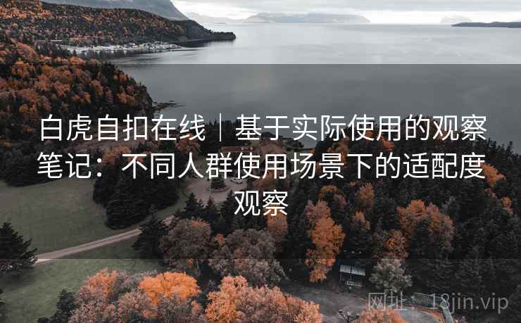 白虎自扣在线｜基于实际使用的观察笔记：不同人群使用场景下的适配度观察  第2张